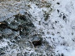 -湖洞水自然风景区