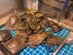 -一方渔歌蒸汽海鲜自助(文化路万达广场店)