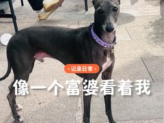 -星巴克臻选(湖滨道店)