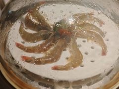 -优食坊·蒸汽海鲜(康盛路店)