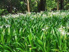 -福田红树林生态公园