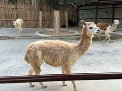 -杭州野生动物世界