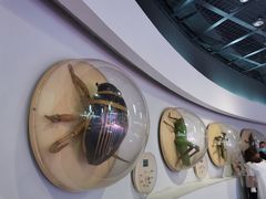 -陕西自然博物馆