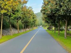 -天目湖涵田度假村