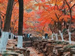 -虞山风景区