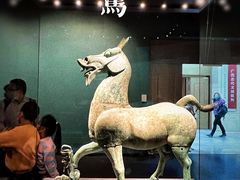 -广西壮族自治区博物馆