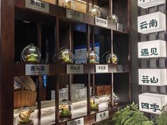 -芸山季·云南山珍菌火锅(人民广场来福士店)