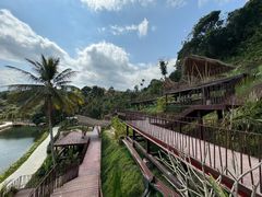 -海南热带雨林国家公园吊罗山景区