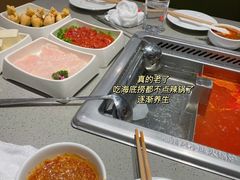 -海底捞火锅(铁西万达店)