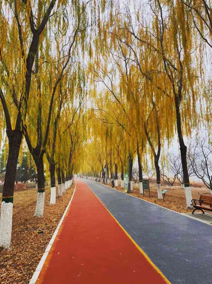 大兴滨河森林公园-"很好呀周末可以公园散步再开心不过了念.