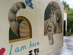 -青藏高原野生动物园