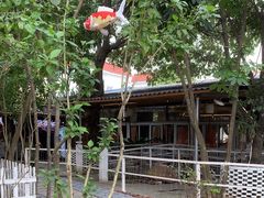 -陶缘一号·四季缘·老字号顺德菜·户外婚礼家宴(西滘店)