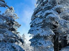 -西岭雪山大飞水景区