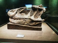 -自贡恐龙博物馆