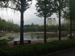 -莱西月湖公园