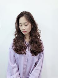 -东晨宝格丽品质造型