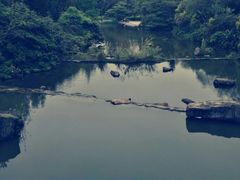 -云溪植物园