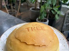 -大树餐厅(红旗街万达店)