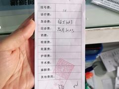 -顺强宠物诊所·狂犬免疫·夜诊·骨科(嘉定店)