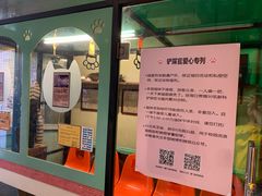 -猫咪博物馆(顶澳仔猫街店)