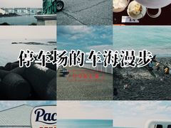 -台场海滨公园船码头