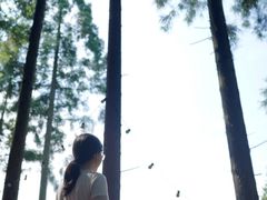 -山王坪喀斯特国家生态公园