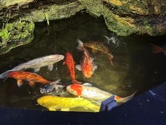 -佛山顺德香云纱园林酒店(清晖园店)