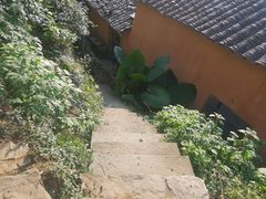 -杨家堂村