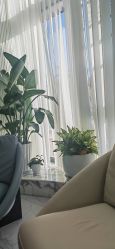 -杭州奥拉克医疗美容门诊部