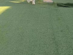 -宠物寄养训练学校