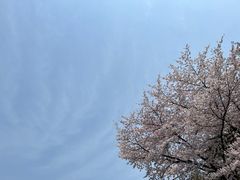 -南浦大桥长途旅游客运站
