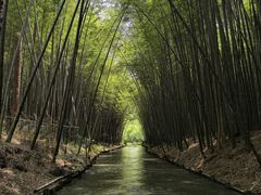 -同里国家湿地公园