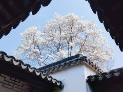 -艺圃