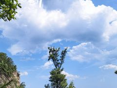 -王顺山国家森林公园