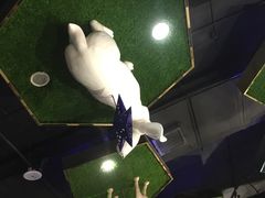 -H次元沉浸剧情密室(街道口店)