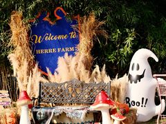 -HERRE·FARM 赫尔露营农场·团建聚会包场