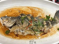 -老太太海鲜城(森林公园任家台店)