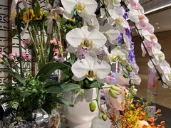 -Olé精品超市(广州太古汇店)