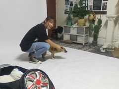 -超宠爱宠物摄影-Super pet