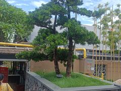 -大笑饭堂(甲子桥店)