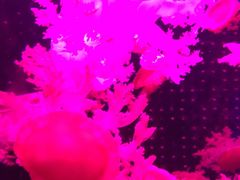 -多彩贵州城极地海洋世界