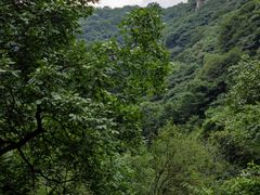 -抱龙峪