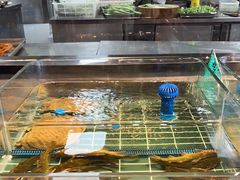 -前门烤鸭(江东中路店)