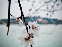 -颐和园