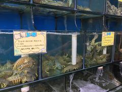 -蚝专家(北滘店)