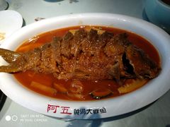 -阿五黄河大鲤鱼(纬三路店)
