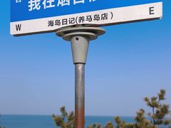 -养马岛旅游度假区