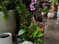 -谷咖啡·鲜花绿植花园餐厅