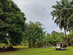 -中国科学院西双版纳热带植物园