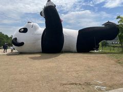 -苏州太湖国家湿地公园